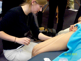 Equine Kinesio Taping Kurs