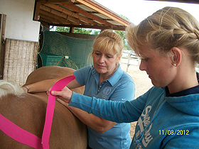 Equine Kinesio Taping Kurs